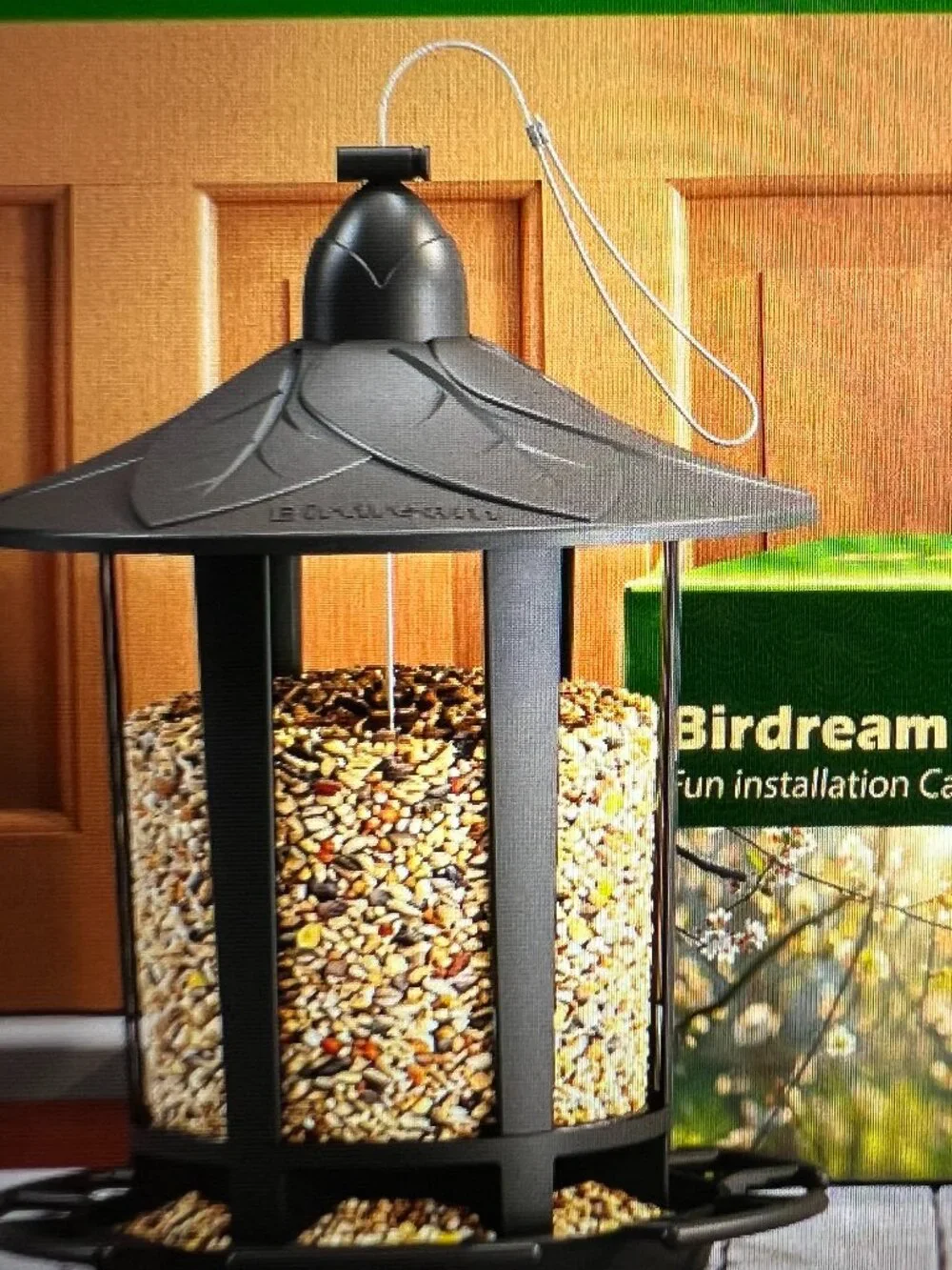 Bird Feeder 2-Pack